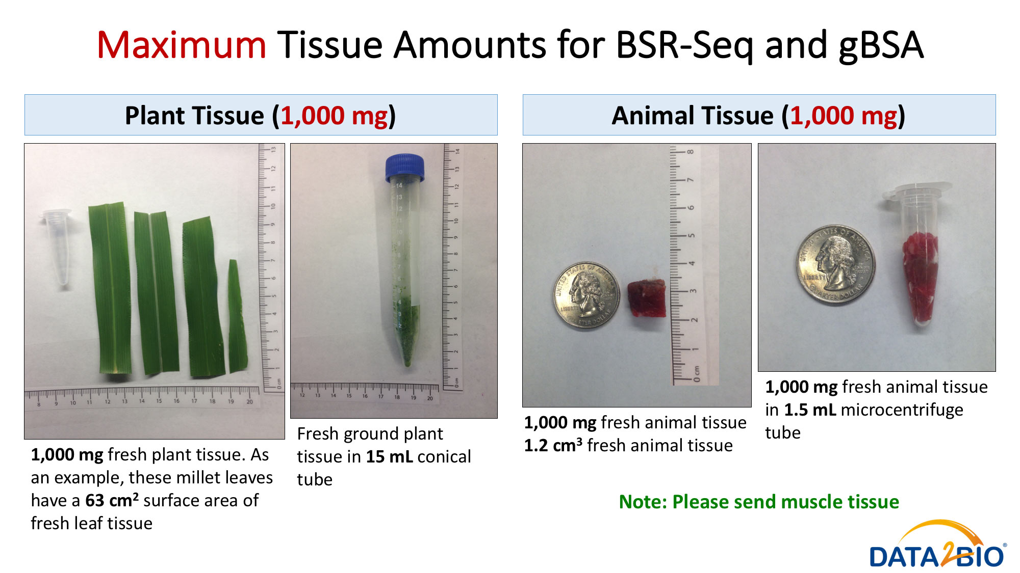 Maximum Tissue Amount