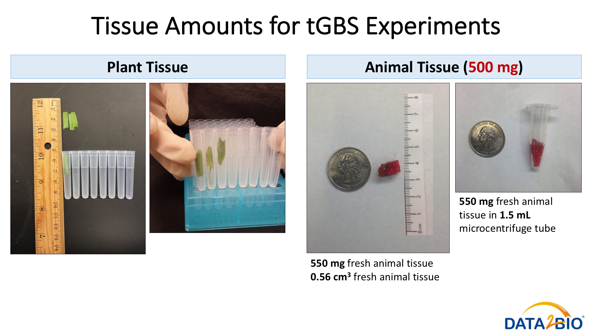 Tissue Amount for tGBS Experiments