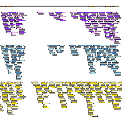 RNA-Seq & Transcriptome assembly